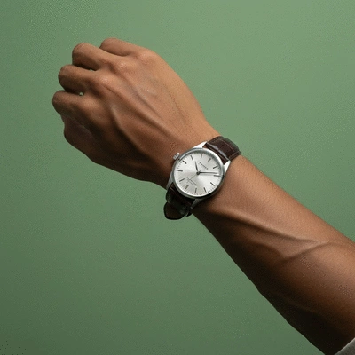 Stylized close-up of a person's wrist wearing an elegant mechanical watch, natural lighting
